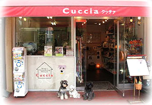 Cuccia（クッチァ）